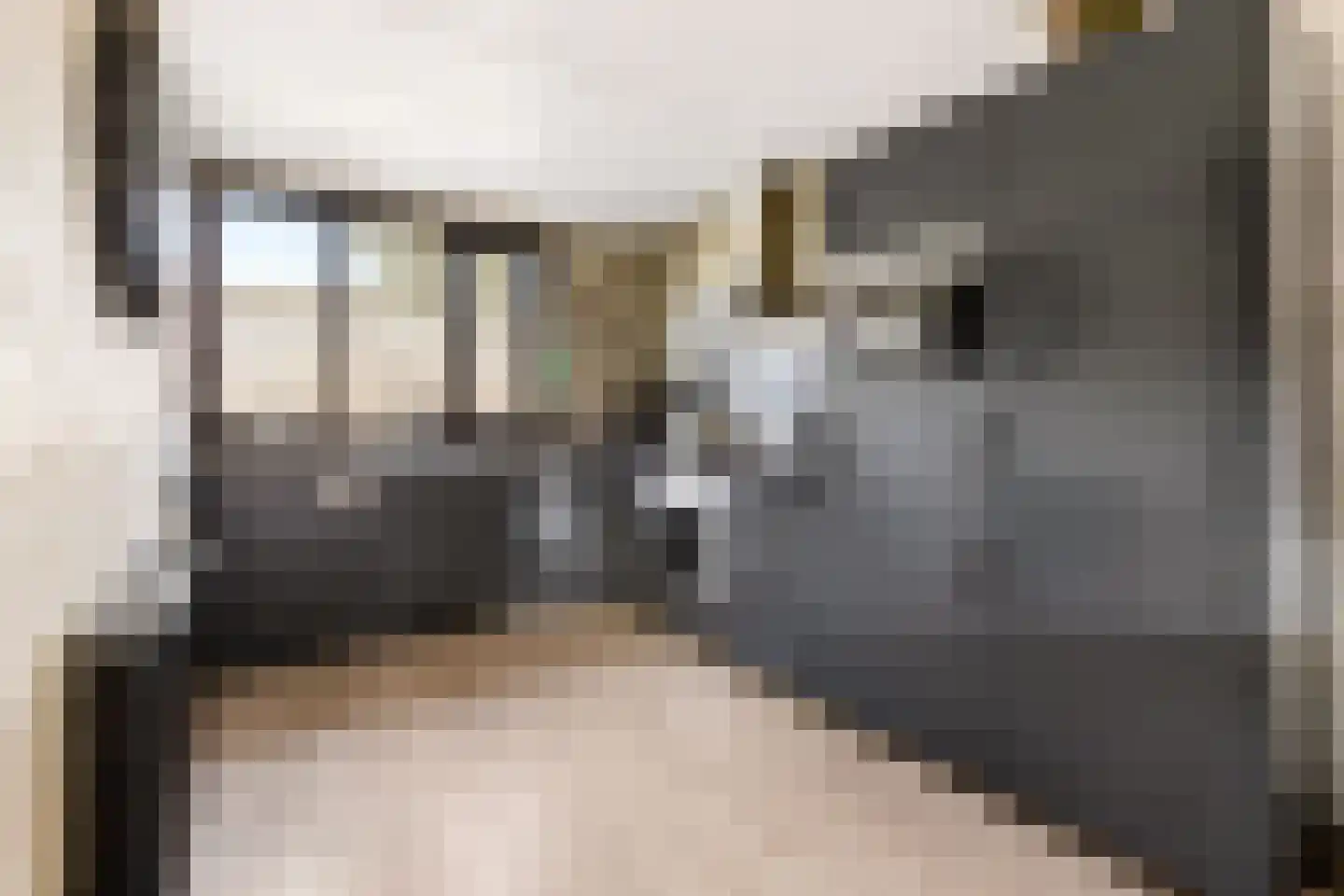 Zwinpad 1 Almere thumbnail 16