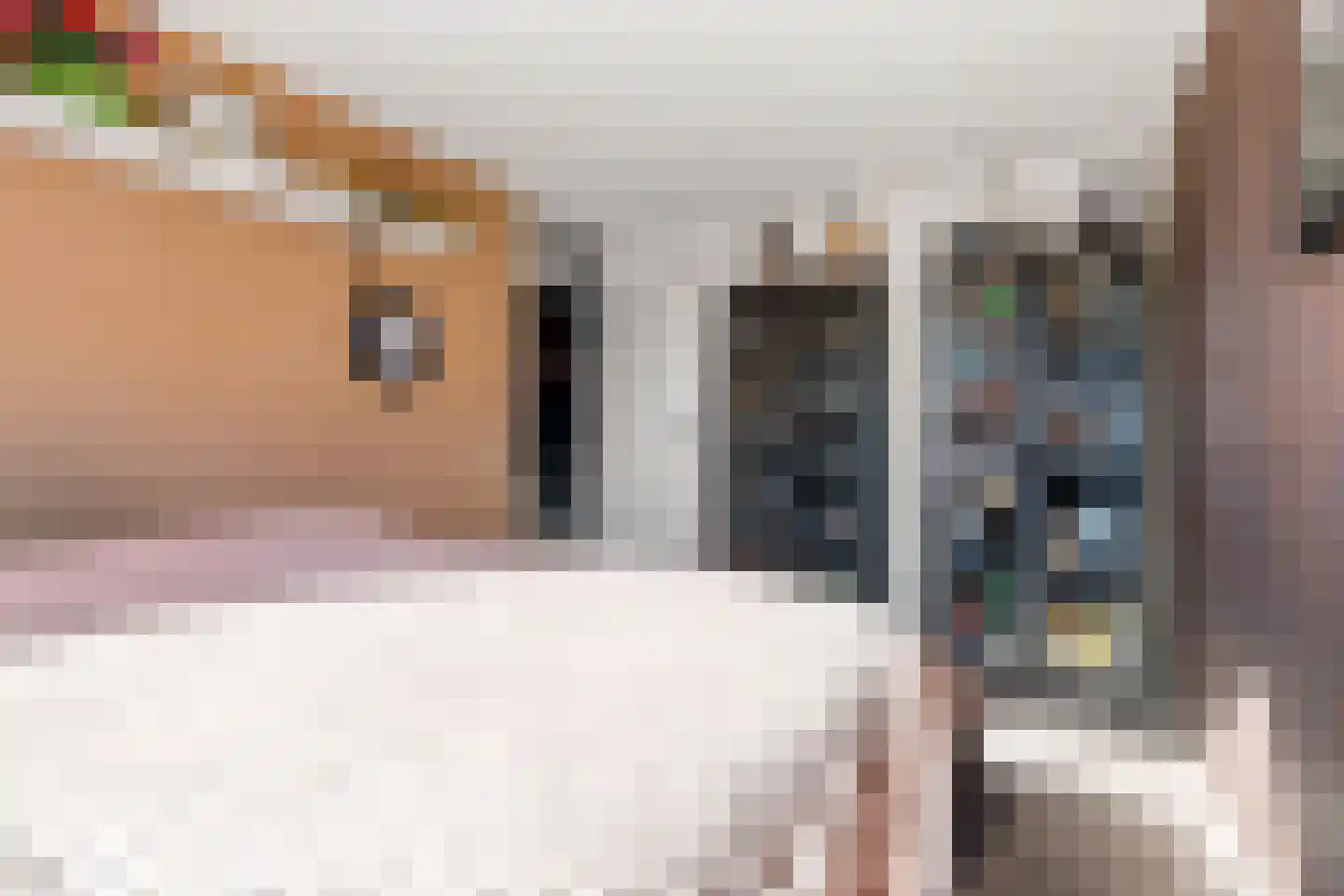 Zwinpad 1 Almere thumbnail 24