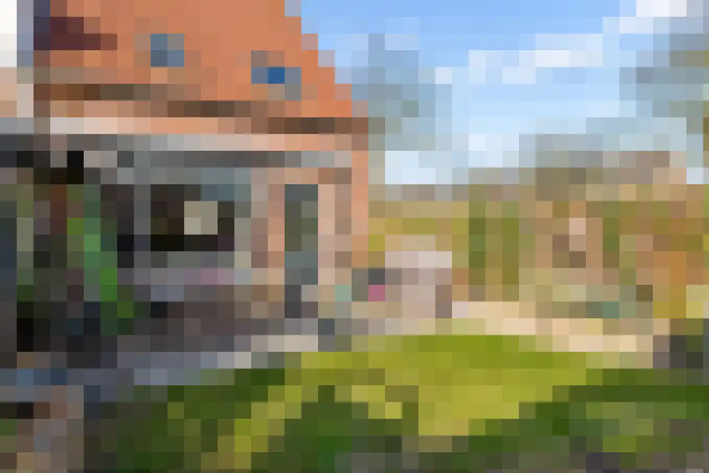 Zwinpad 1 Almere thumbnail 39