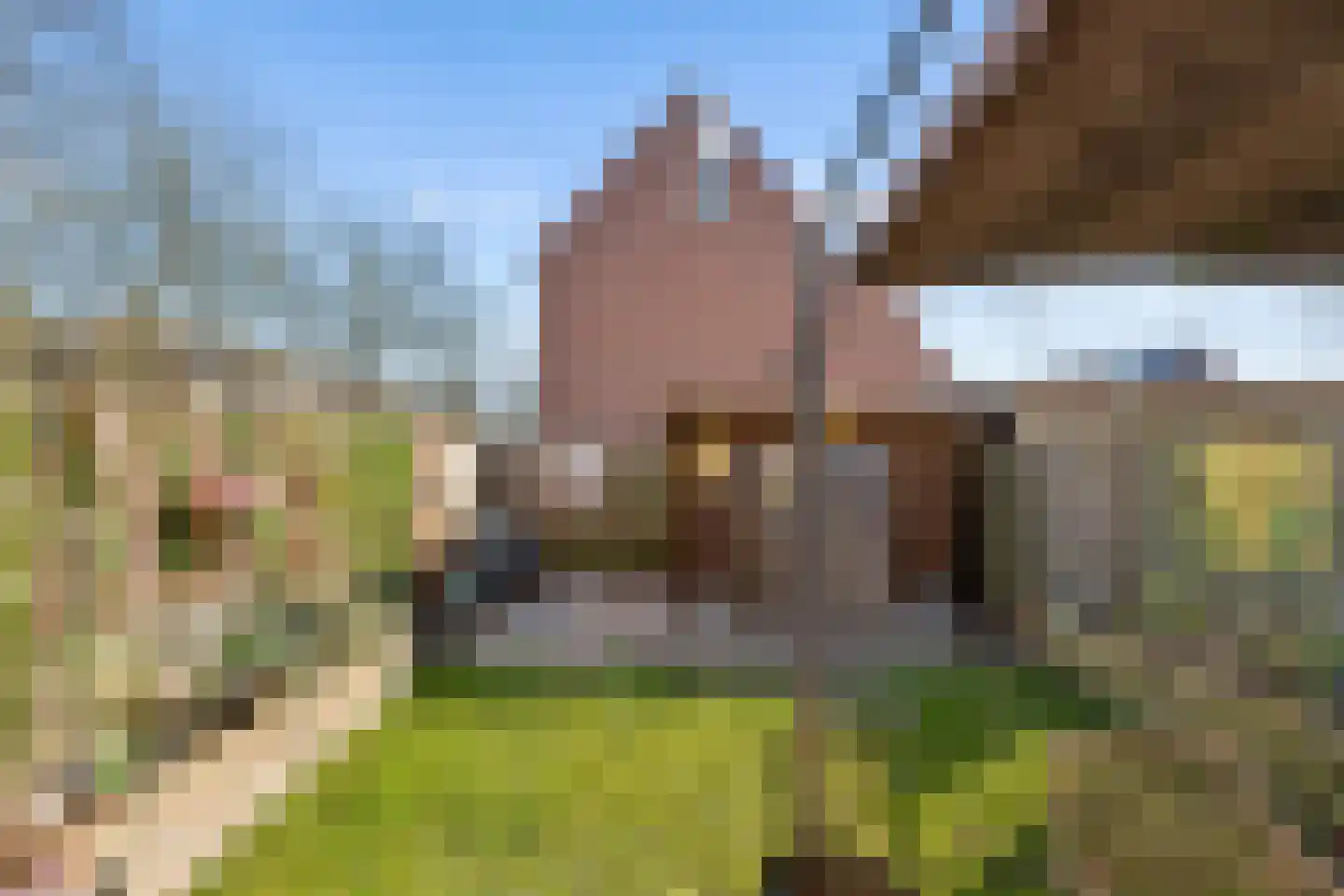 Zwinpad 1 Almere thumbnail 40