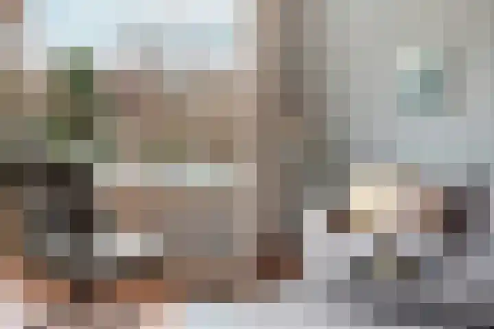 Zwinpad 12 Almere thumbnail 14