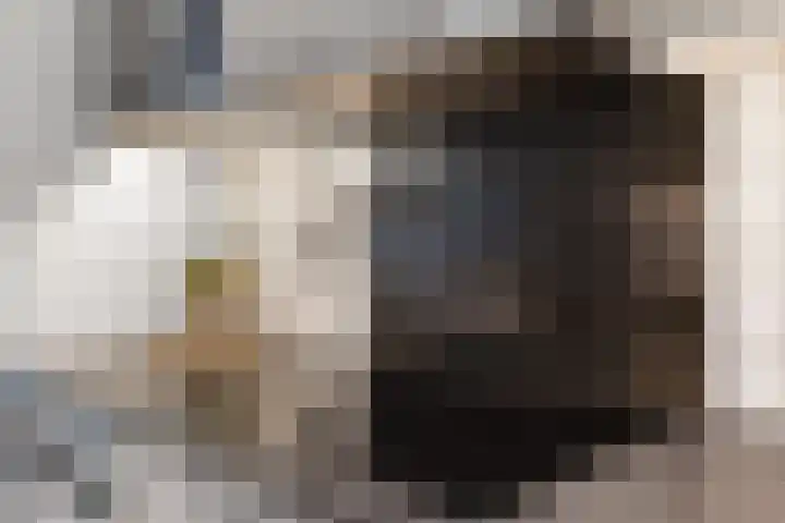 Zwinpad 12 Almere thumbnail 23