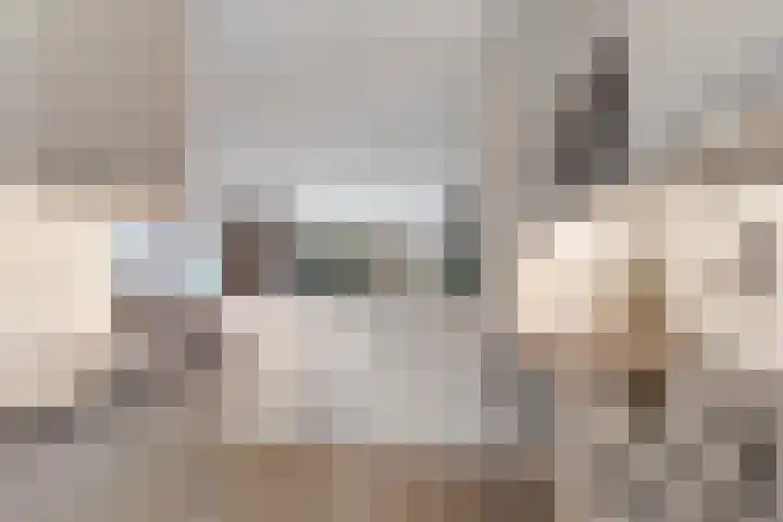 Zwinpad 12 Almere thumbnail 24