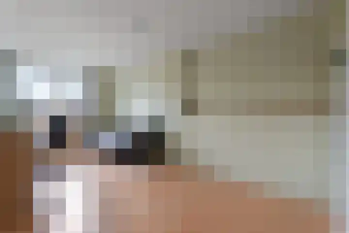 Zwinpad 12 Almere thumbnail 36