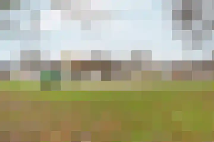 Zwinpad 12 Almere thumbnail 49
