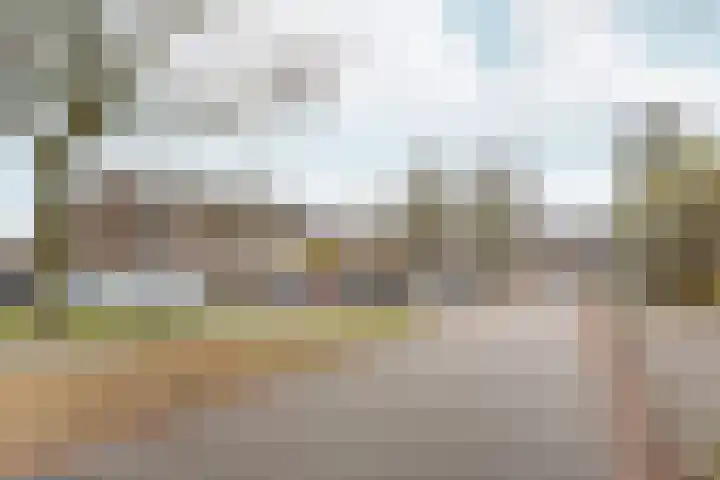 Zwinpad 12 Almere thumbnail 50