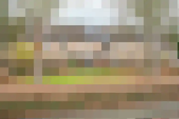 Zwinpad 12 Almere thumbnail 52