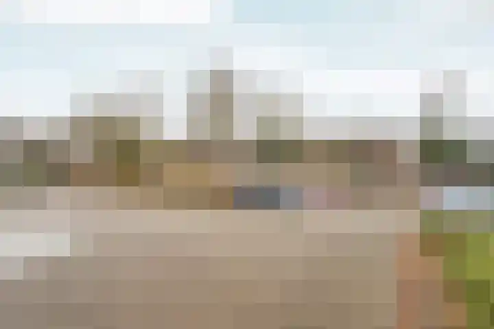 Zwinpad 12 Almere thumbnail 53