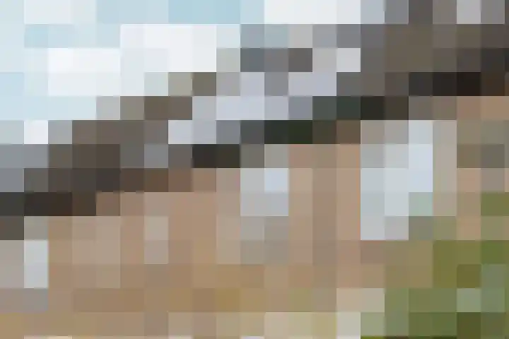 Zwinpad 12 Almere thumbnail 55