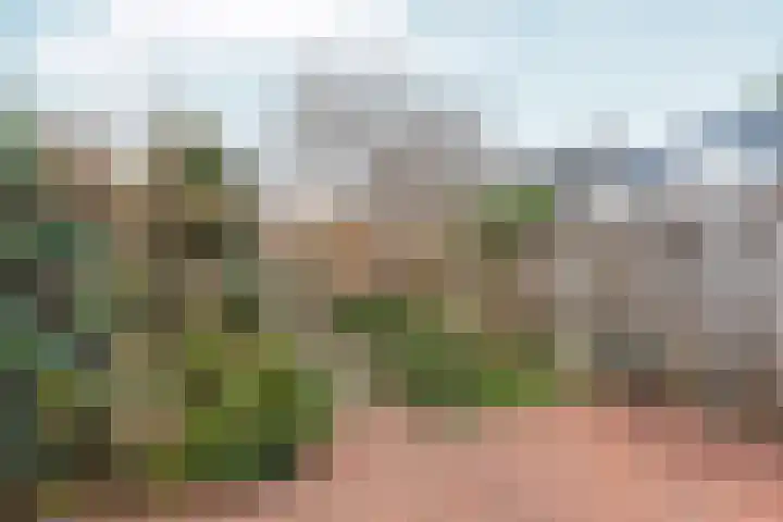 Zwinpad 12 Almere thumbnail 56