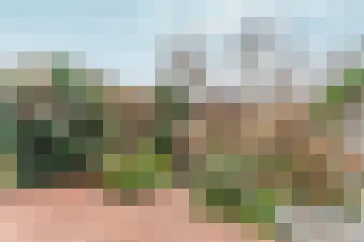 Zwinpad 12 Almere thumbnail 57