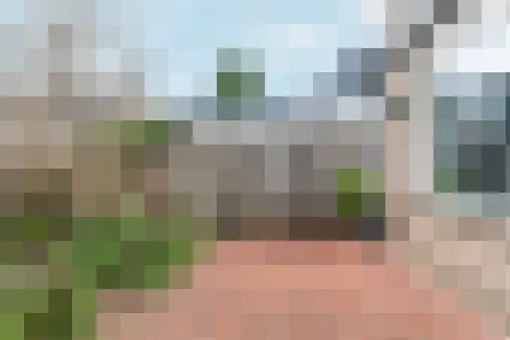 Zwinpad 12 Almere thumbnail 58