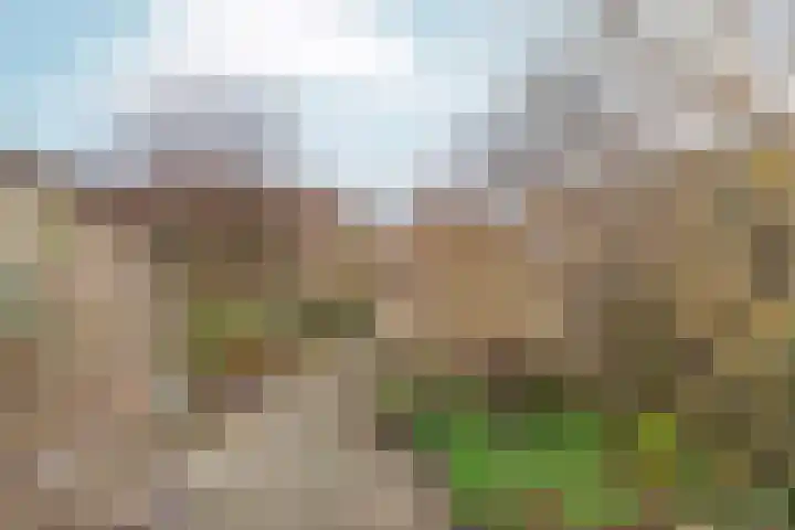 Zwinpad 12 Almere thumbnail 59