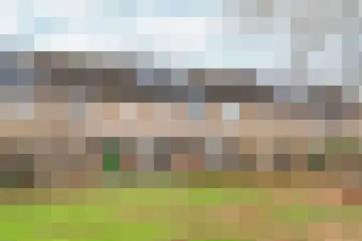 Zwinpad 12 Almere thumbnail 6