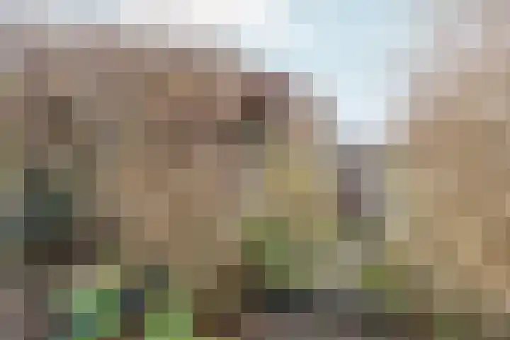 Zwinpad 12 Almere thumbnail 61