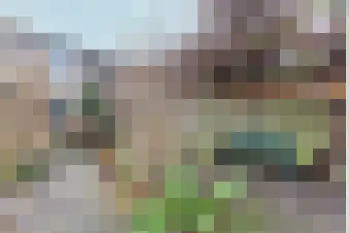 Zwinpad 12 Almere thumbnail 63