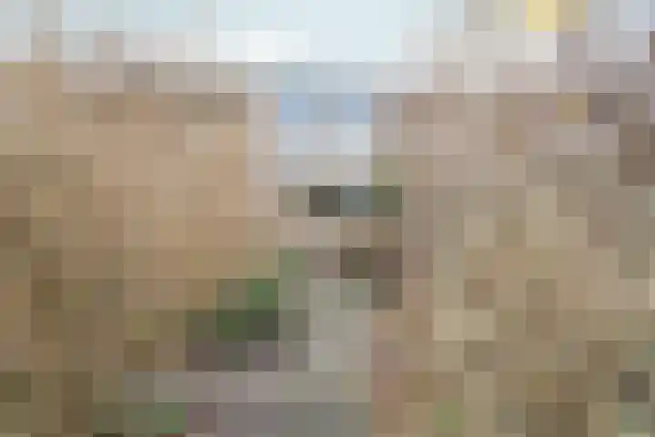 Zwinpad 12 Almere thumbnail 65