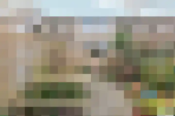 Zwinpad 12 Almere thumbnail 66