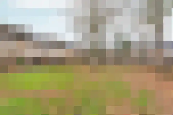 Zwinpad 12 Almere thumbnail 7