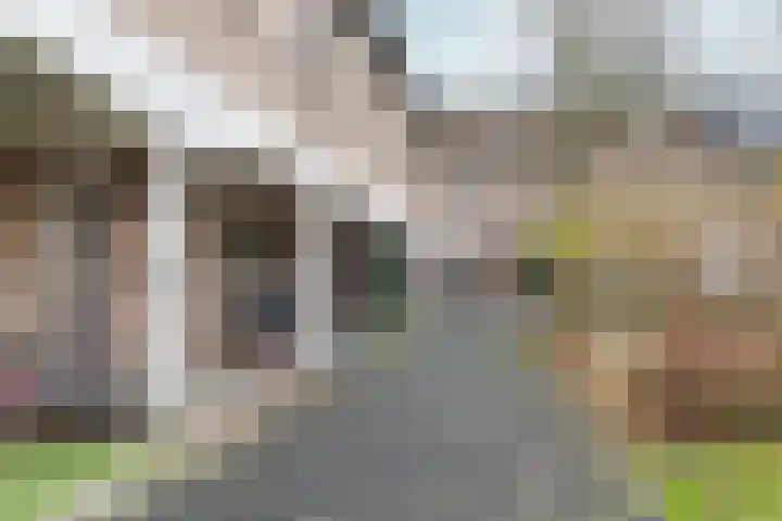 Zwinpad 12 Almere thumbnail 8