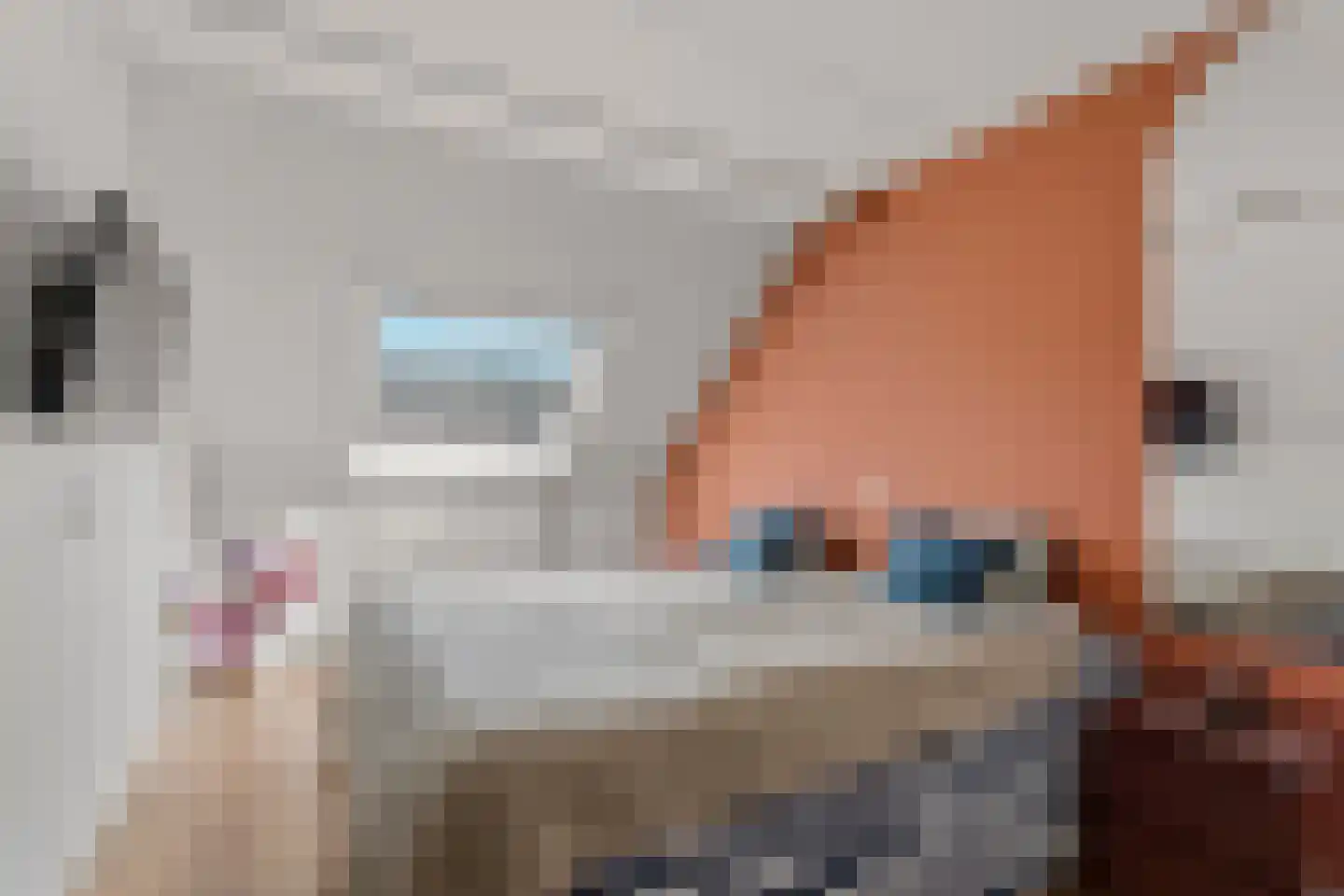 Zwinpad 20 Almere thumbnail 21