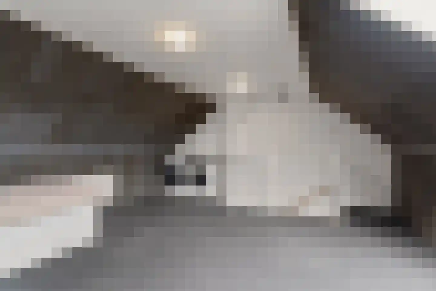 Zwinpad 20 Almere thumbnail 31