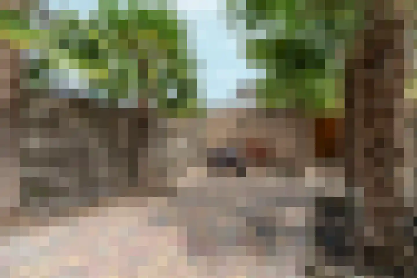 Zwinpad 20 Almere thumbnail 33