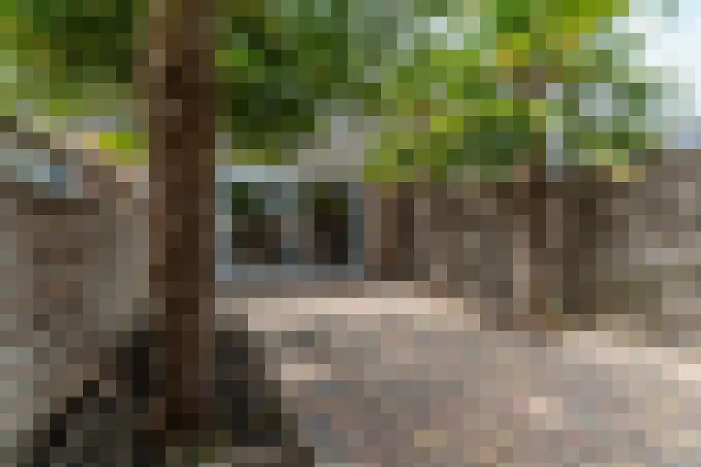 Zwinpad 20 Almere thumbnail 34