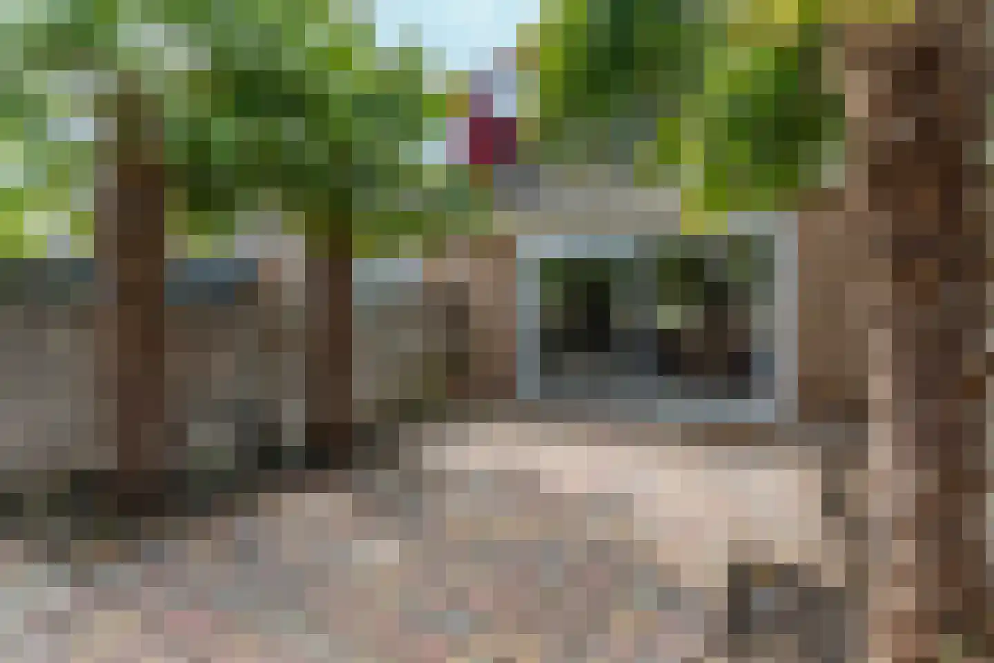 Zwinpad 20 Almere thumbnail 35