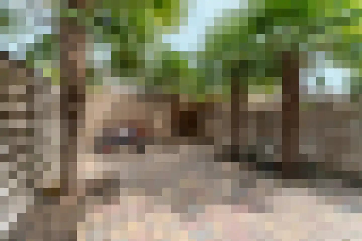 Zwinpad 20 Almere thumbnail 5