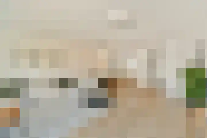 Zwinpad 24 Almere thumbnail 10