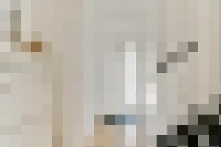 Zwinpad 24 Almere thumbnail 15