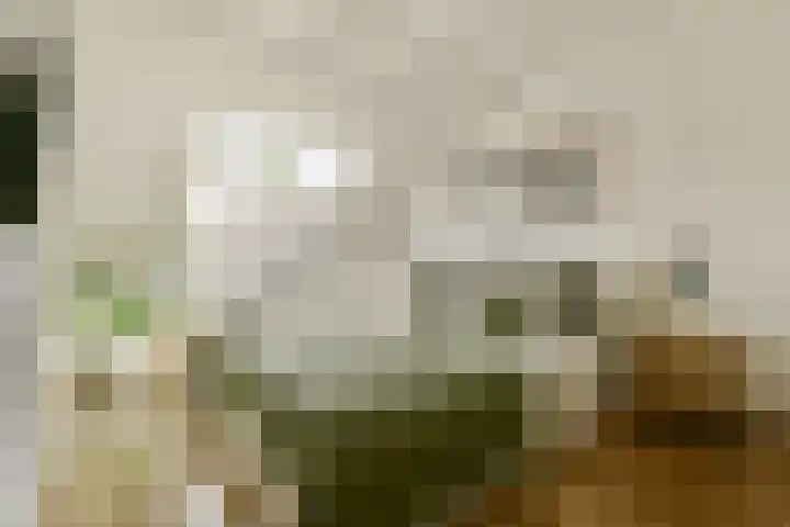 Zwinpad 24 Almere thumbnail 17