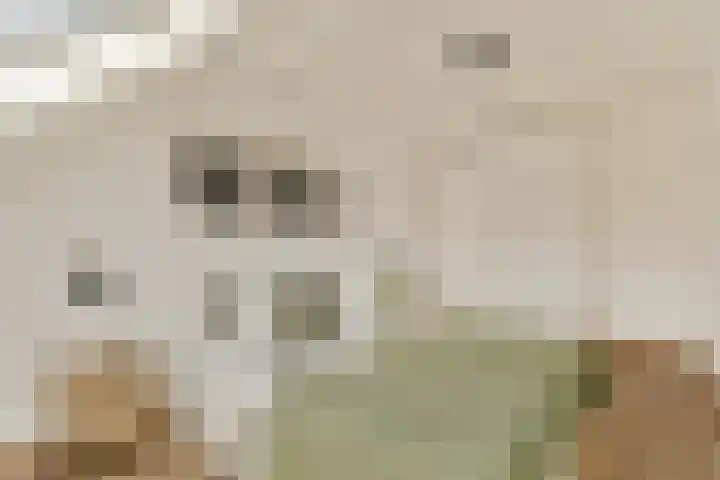 Zwinpad 24 Almere thumbnail 18