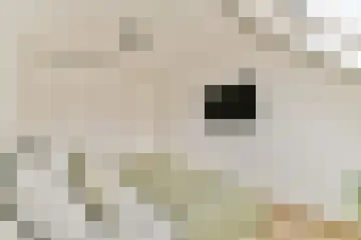 Zwinpad 24 Almere thumbnail 19