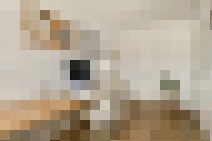 Zwinpad 24 Almere thumbnail 21