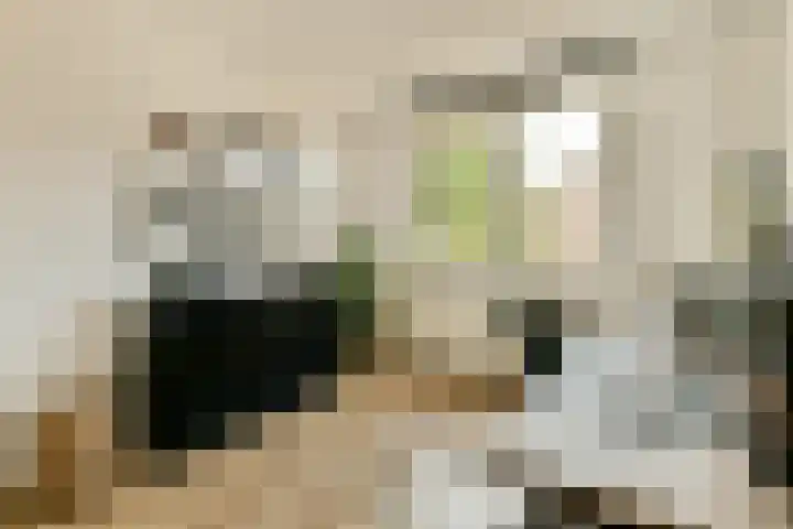 Zwinpad 24 Almere thumbnail 22