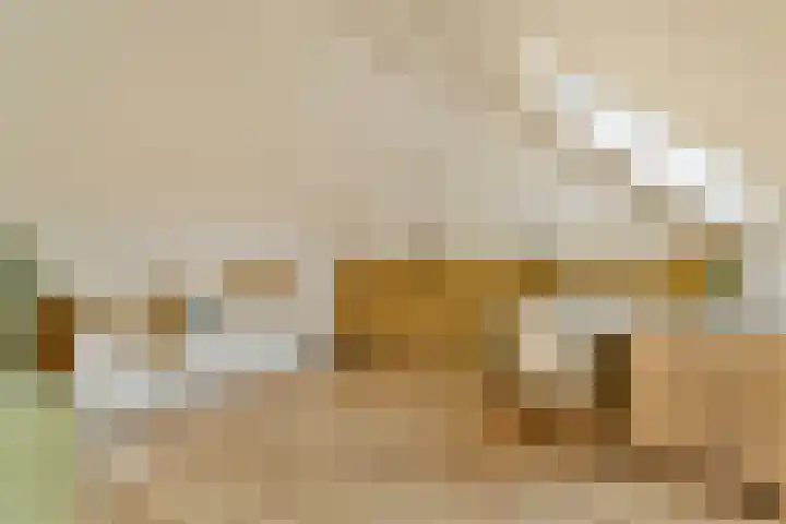 Zwinpad 24 Almere thumbnail 27