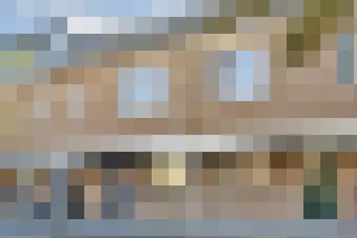 Zwinpad 24 Almere thumbnail 28