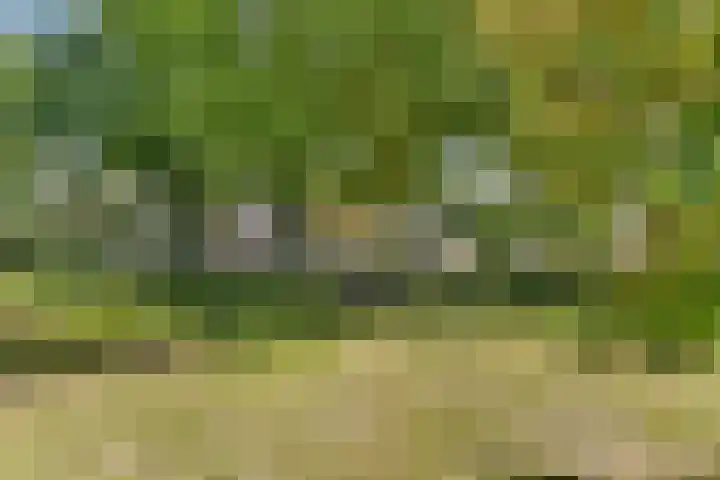 Zwinpad 24 Almere thumbnail 29