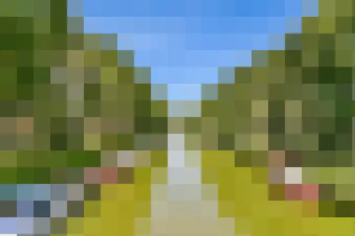 Zwinpad 24 Almere thumbnail 31