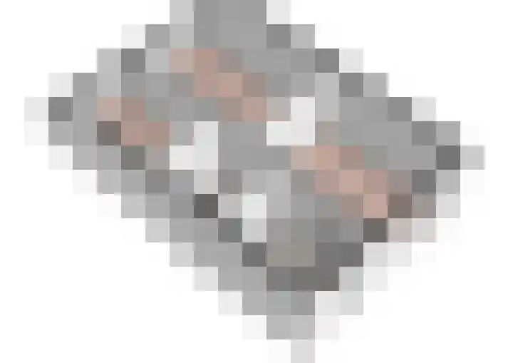 Zwinpad 24 Almere thumbnail 37