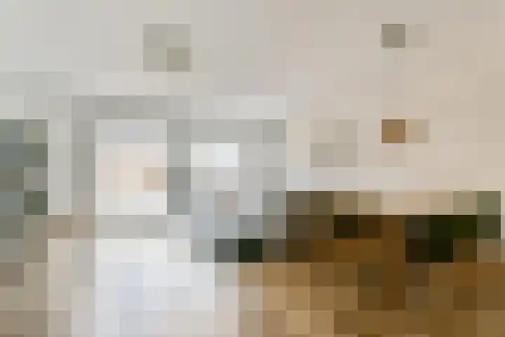 Zwinpad 24 Almere thumbnail 4