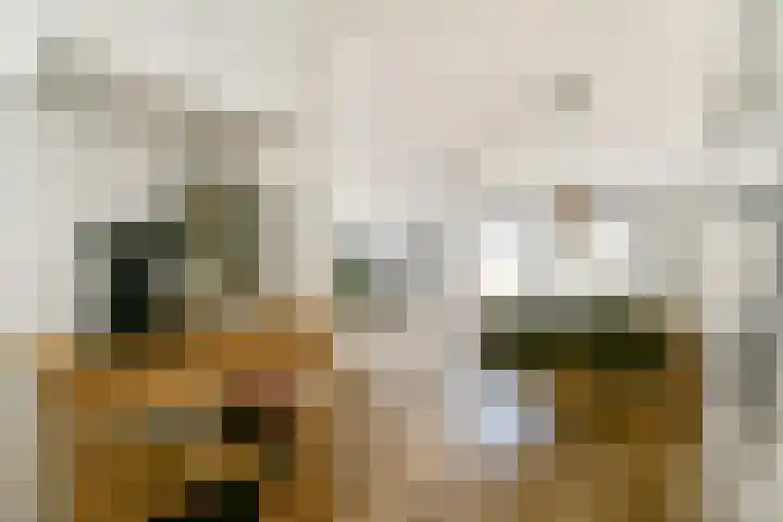 Zwinpad 24 Almere thumbnail 5