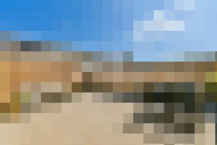 Zwinpad 24 Almere thumbnail 6
