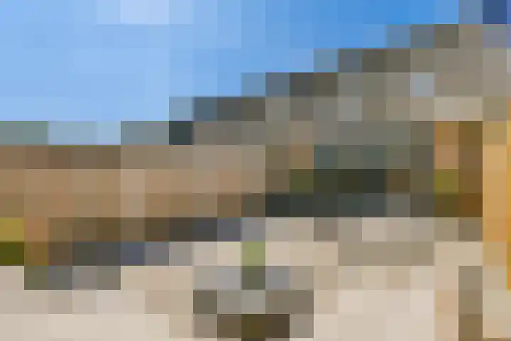 Zwinpad 24 Almere thumbnail 8