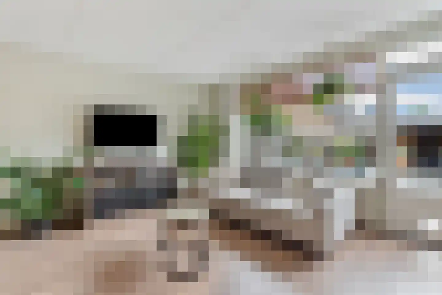 Zwinpad 9 Almere thumbnail 11