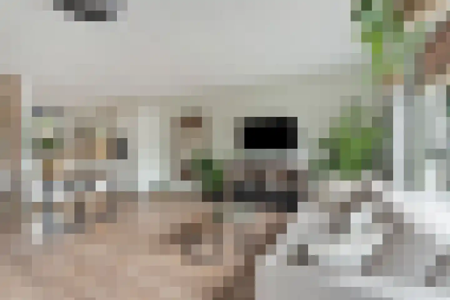 Zwinpad 9 Almere thumbnail 12