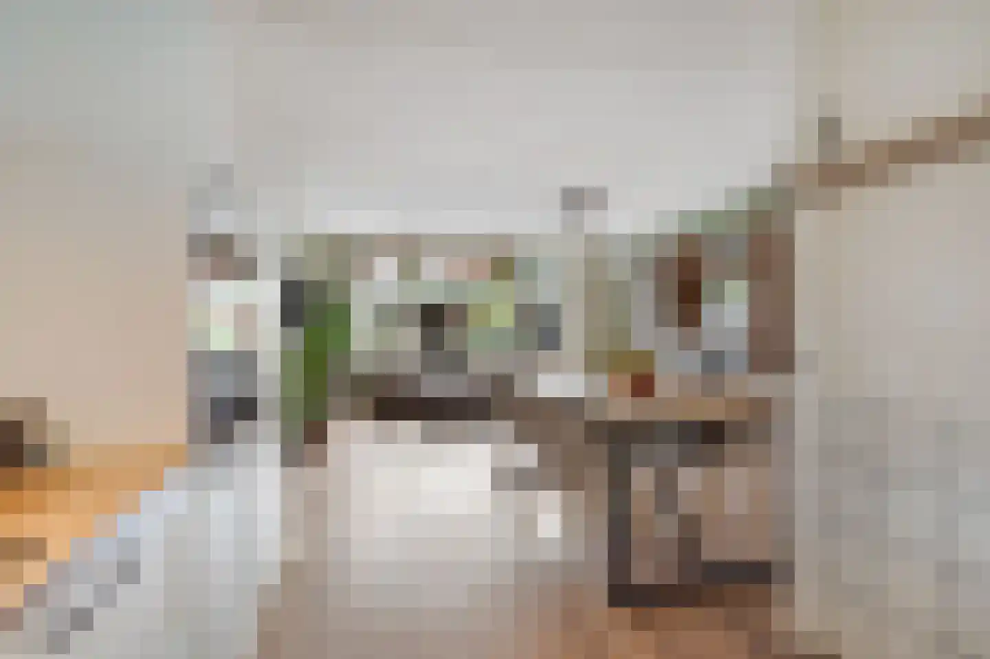 Zwinpad 9 Almere thumbnail 19