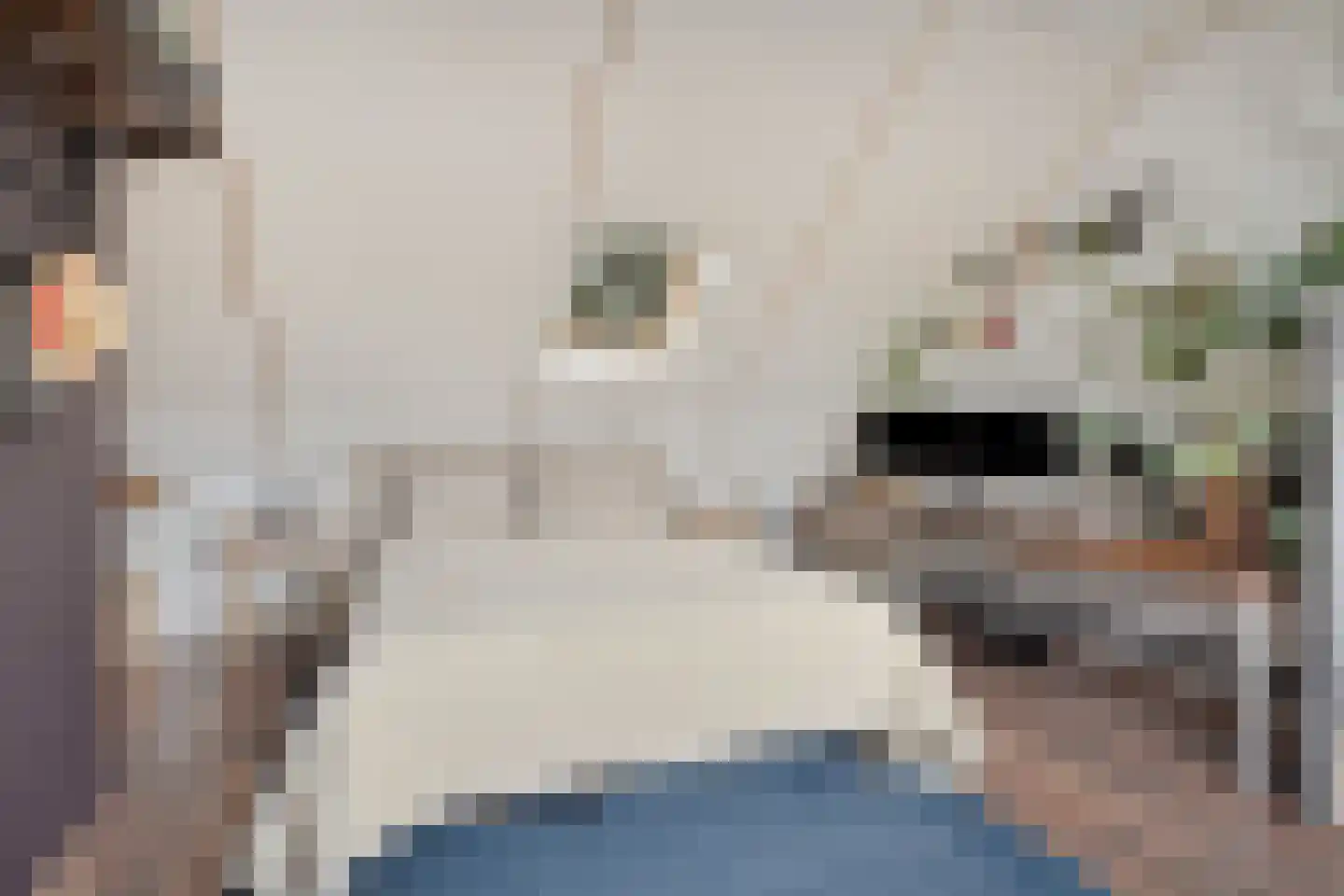 Zwinpad 9 Almere thumbnail 32